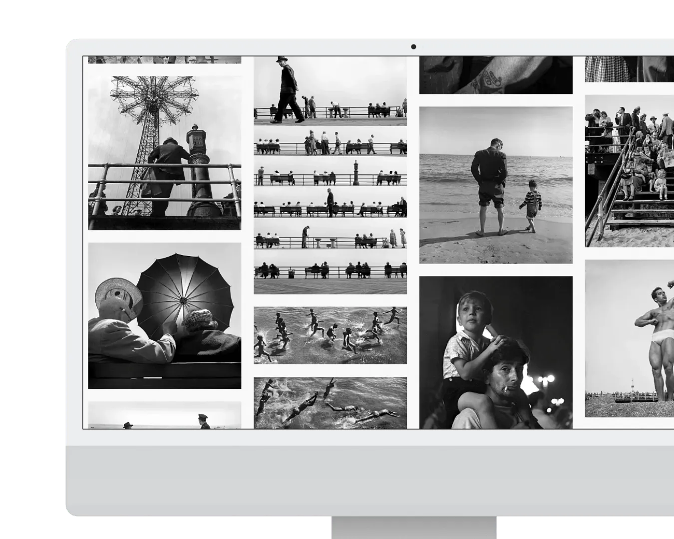 Harold Feinstein Archive